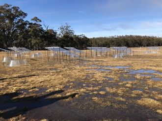 Silver Plains Reserve