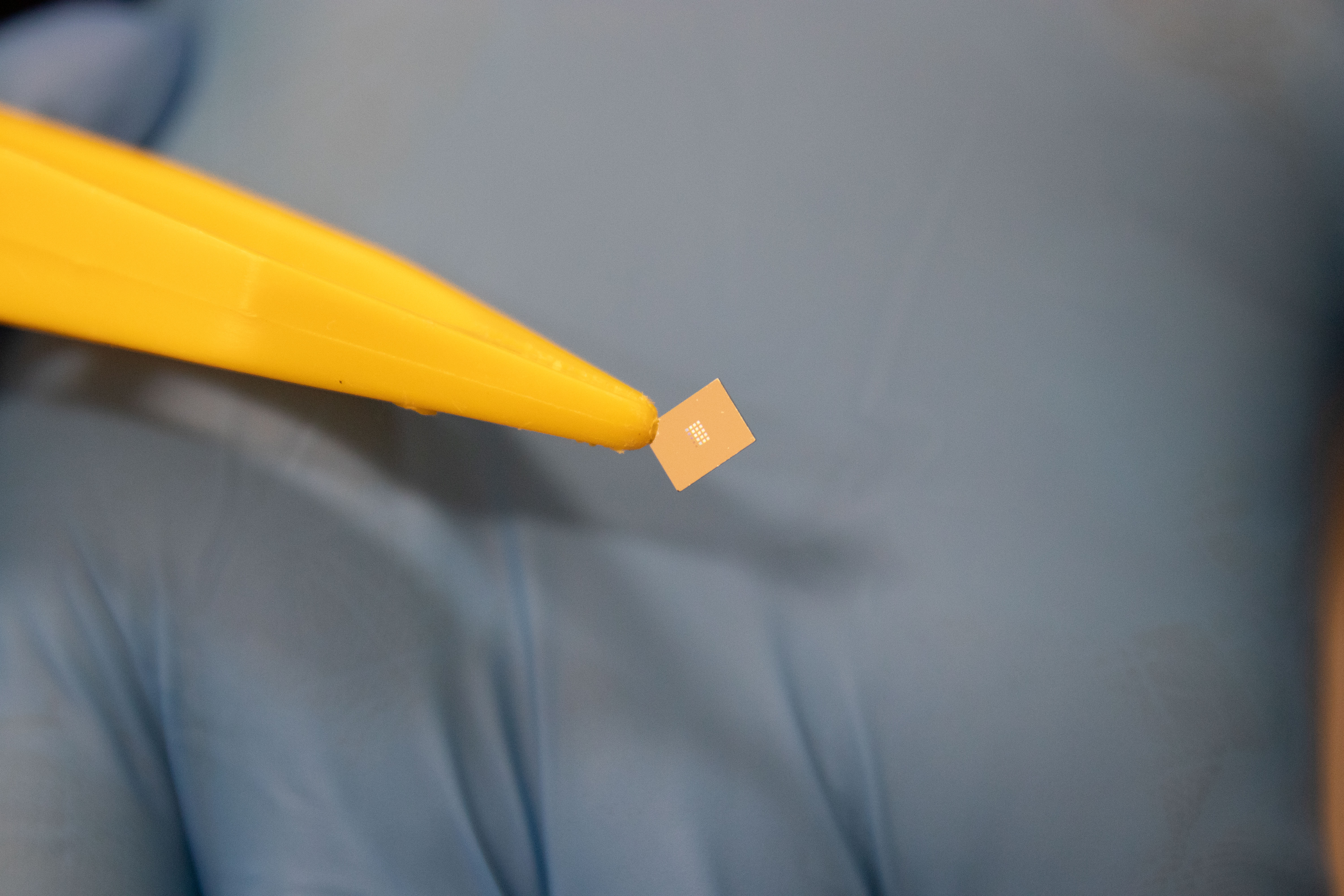 (c) University of Melbourne