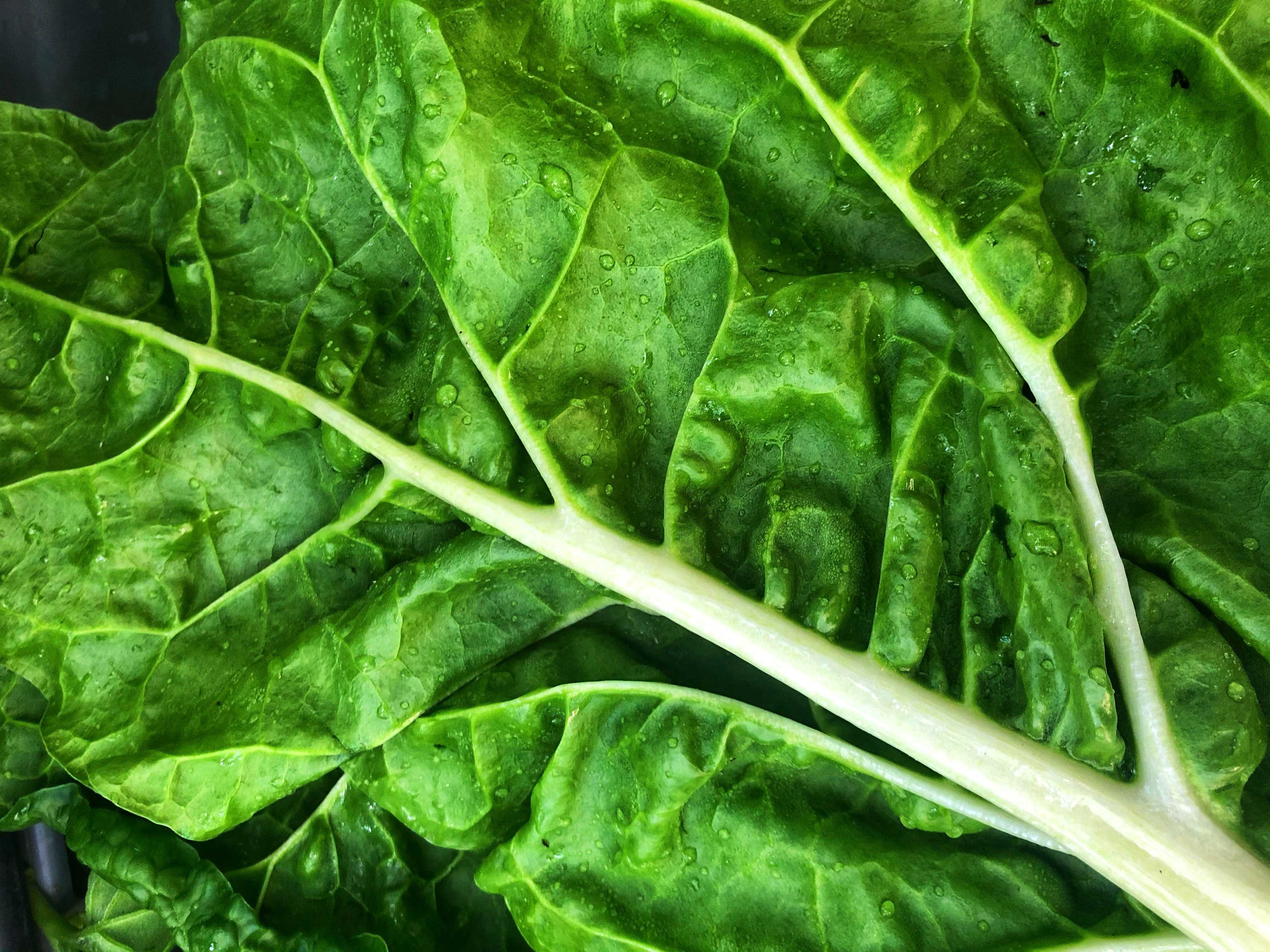 People with the highest intakes of vitamin K1 (found in green leafy vegetables) were 21 percent less likely to be hospitalised with cardiovascular disease related to atherosclerosis.