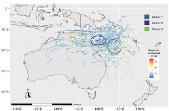 Cyclone clusters