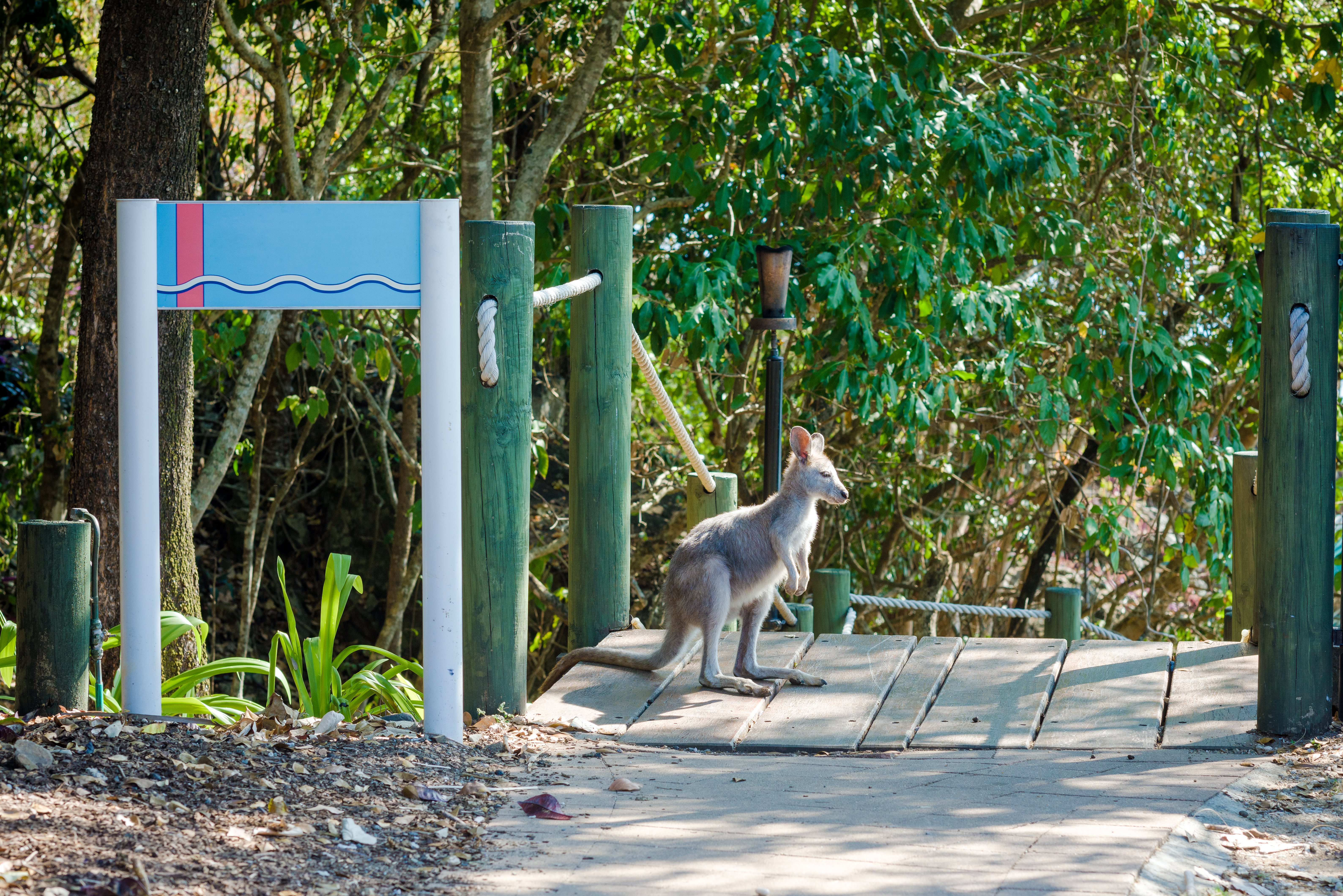 Photo is from Shutterstock