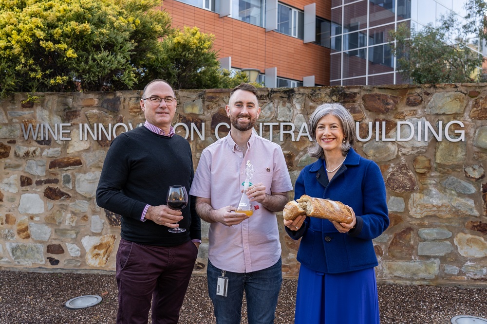 Professor Vladimir Jiranek, Head of Wine Science at the University of Adelaide and PhD student Scott Oliphant with the lactic acid bacteria named in the honour of South Australia’s Chief Public Health Officer, Professor Nicola Spurrier. The bacteria may potentially be used in sourdough bread and the fermentation of wine. Credit: The University of Adelaide 