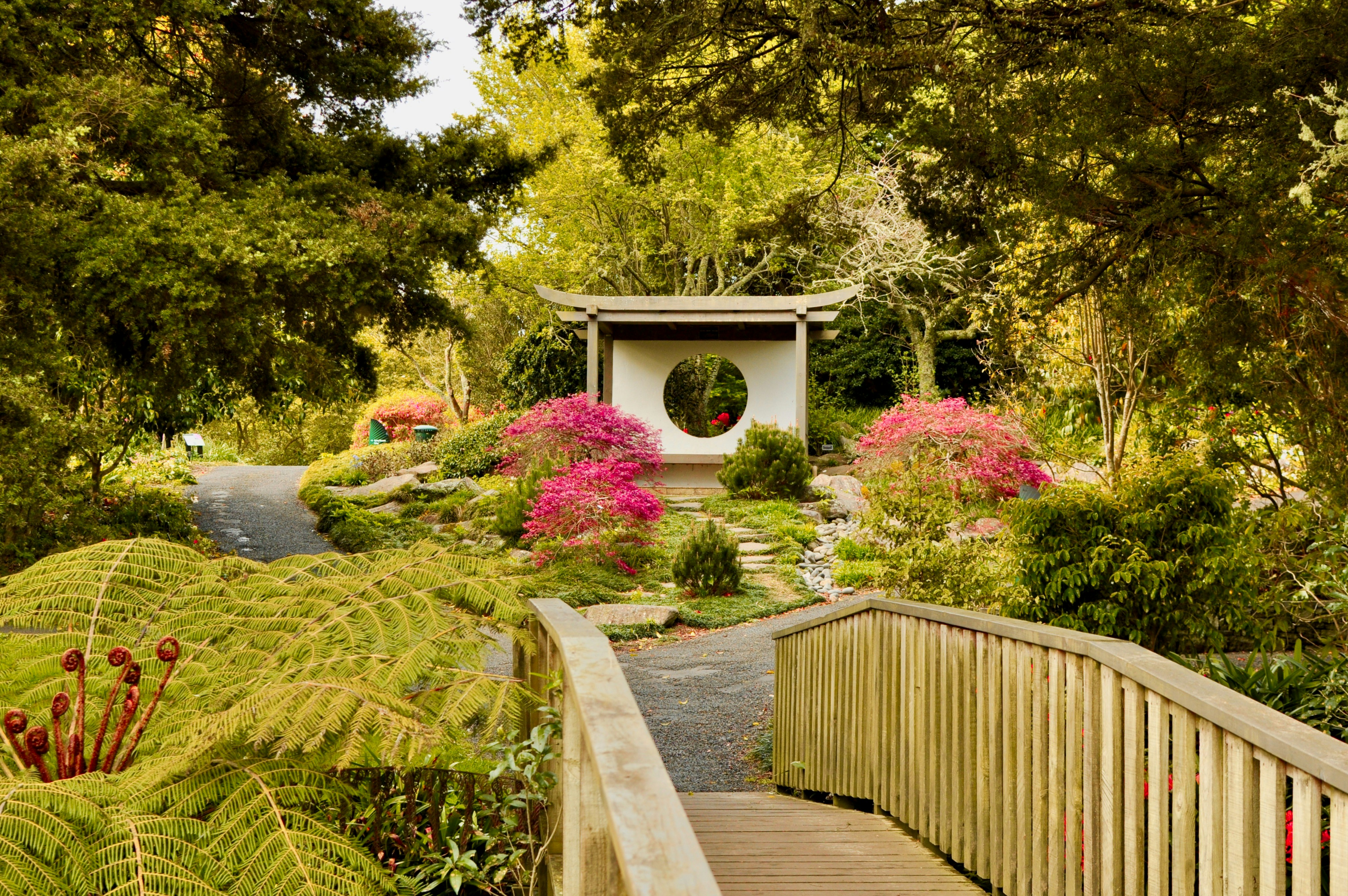 Photo by Ian Kuik on Unsplash