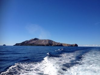 A natural laboratory