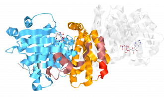 Abnormal mevalonate kinase enzyme