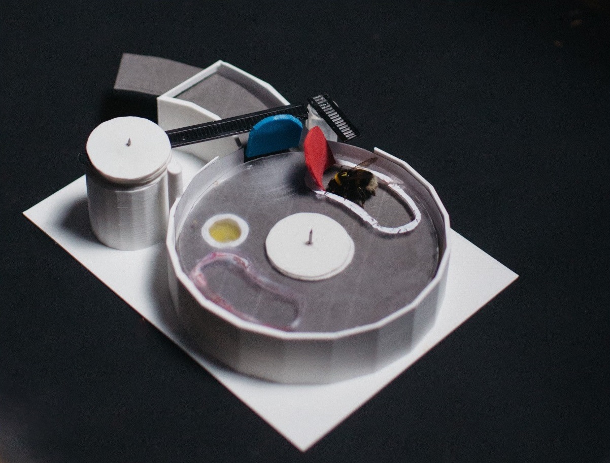 The two-step puzzle box contains a drop of sugar water in the location of the yellow circle, presented under a transparent plastic lid. To access the reward, the bee has to rotate the transparent lid, by pushing the red tab until the crescent-shaped opening behind the tab is above the yellow target. However, the red tab can only be moved once the blue tab has been pushed out of the way first. CREDIT: Queen Mary University of London
