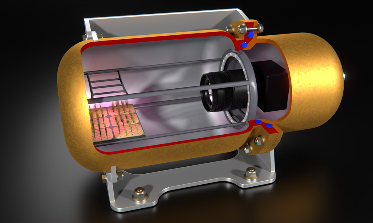 Artistic rendering of the ALEPH-1 capsule with cutaway view showing seedlings and camera inside. Copyright: Arthur Georgalas, RMIT University 2022.