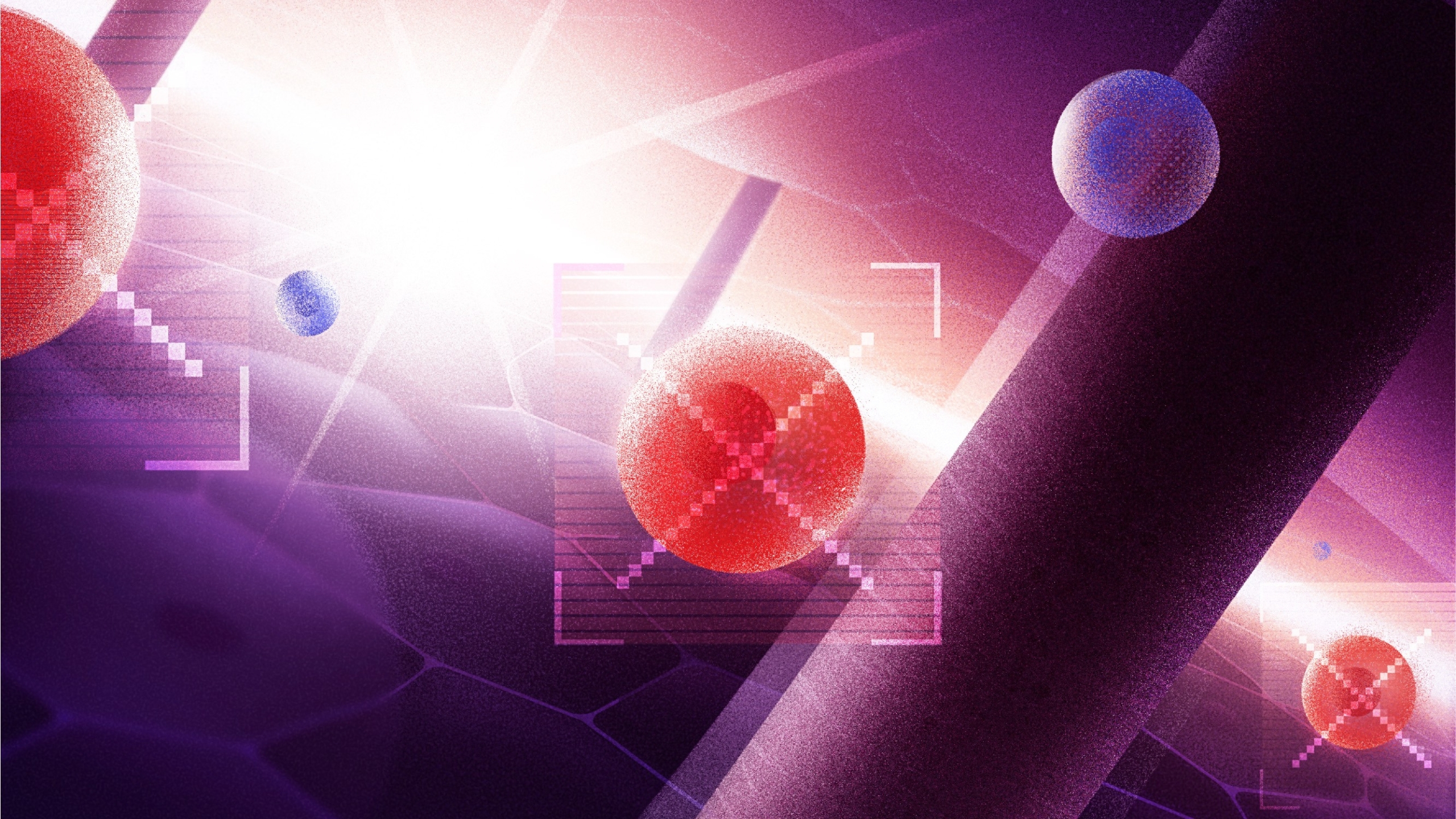 Credit: Jason Solo from the Jacky Winter Group / Doherty Institute