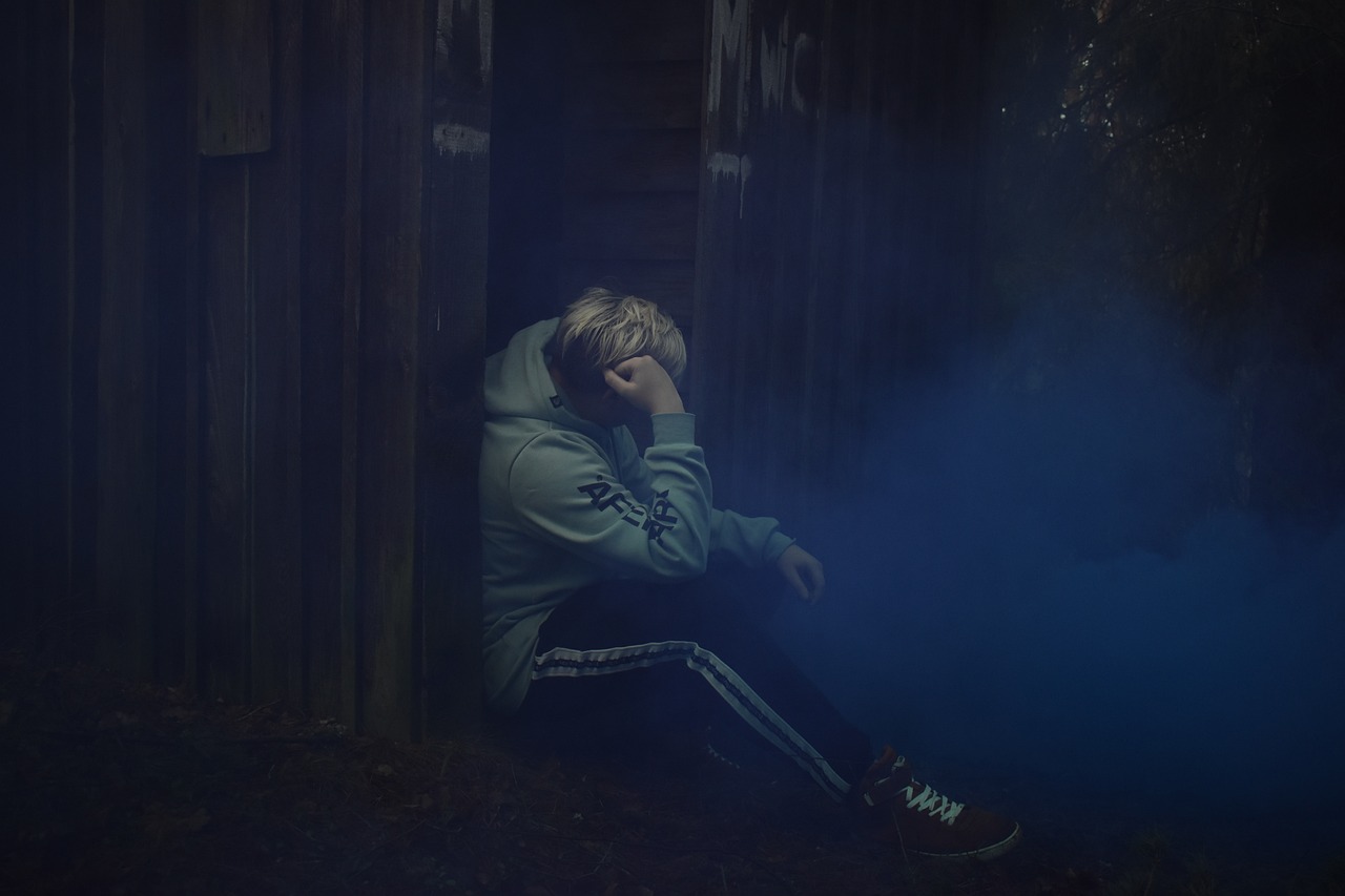 Image by Enar Sirendi from Pixabay