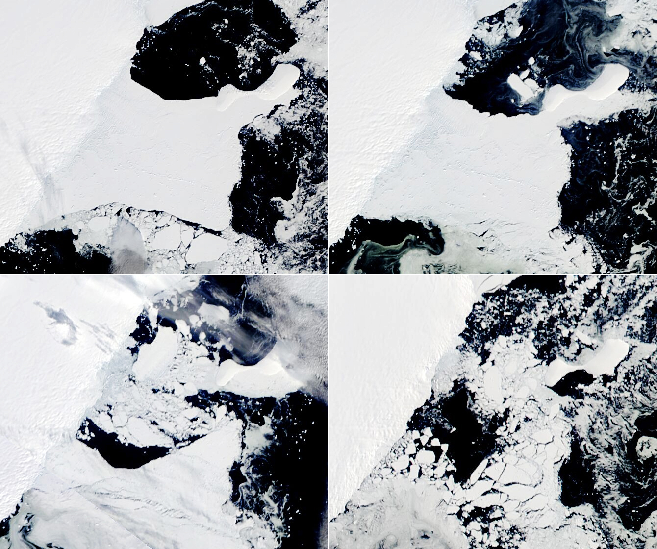 NASA Earth Observatory images by Lauren Dauphin, using Landsat data from the U.S. Geological Survey and MODIS data from NASA EOSDIS LANCE and GIBS/Worldview. Story by Kathryn Hansen.