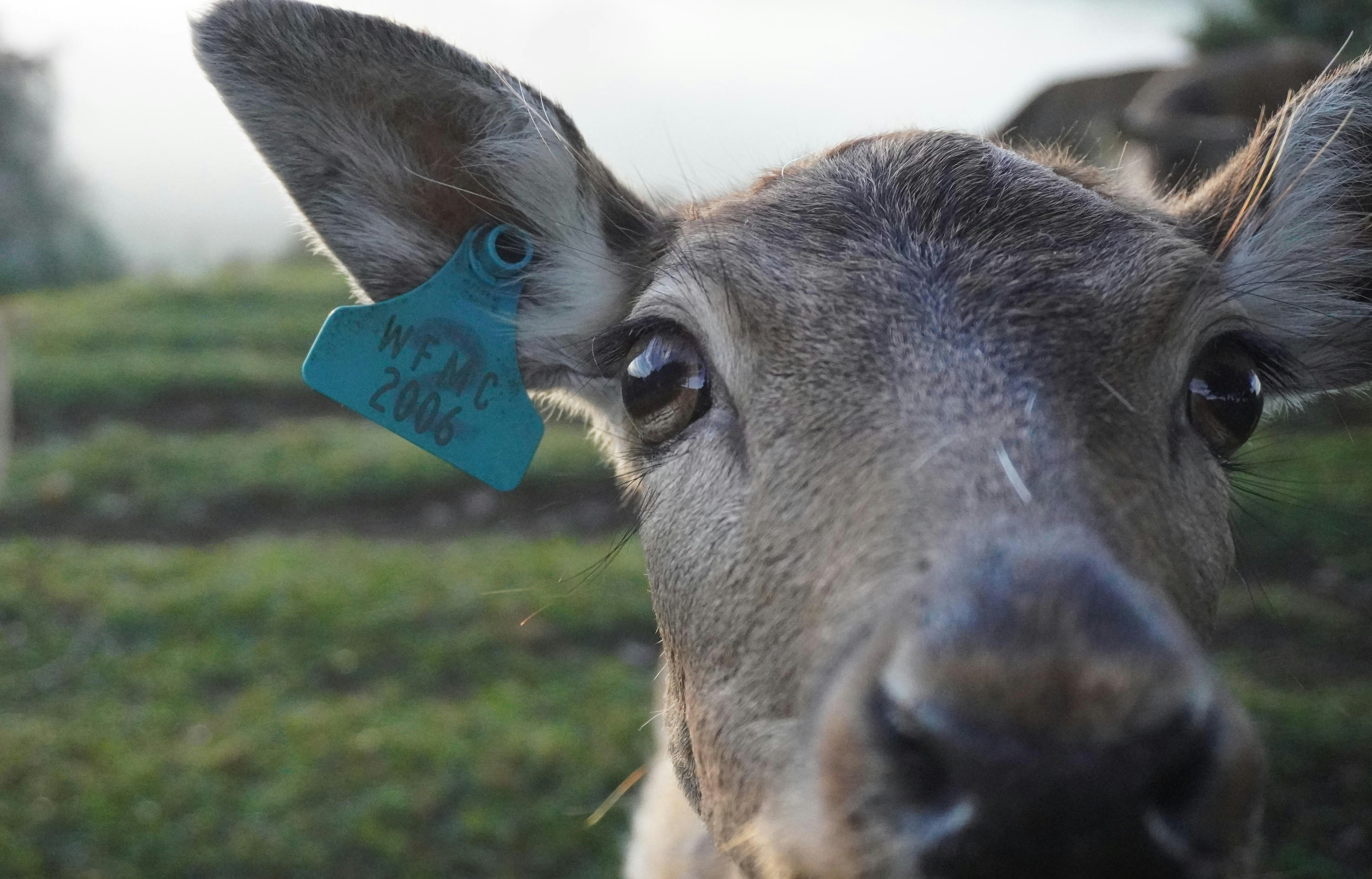 Photo by Rinnie Deer on Unsplash