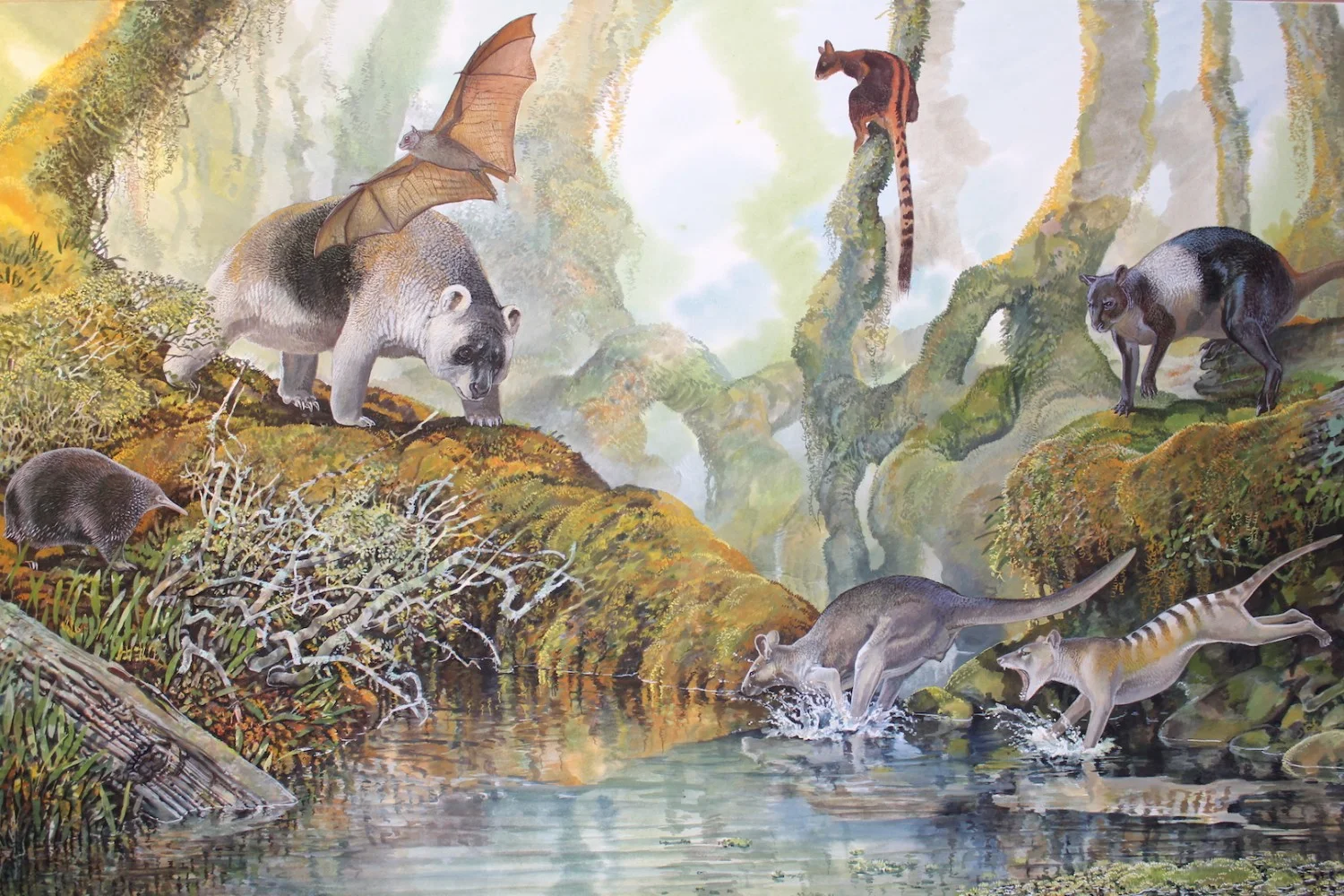 PNG megafauna: Courtesy Peter Schouten 