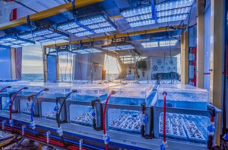 Testing bleaching thresholds of coral colonies