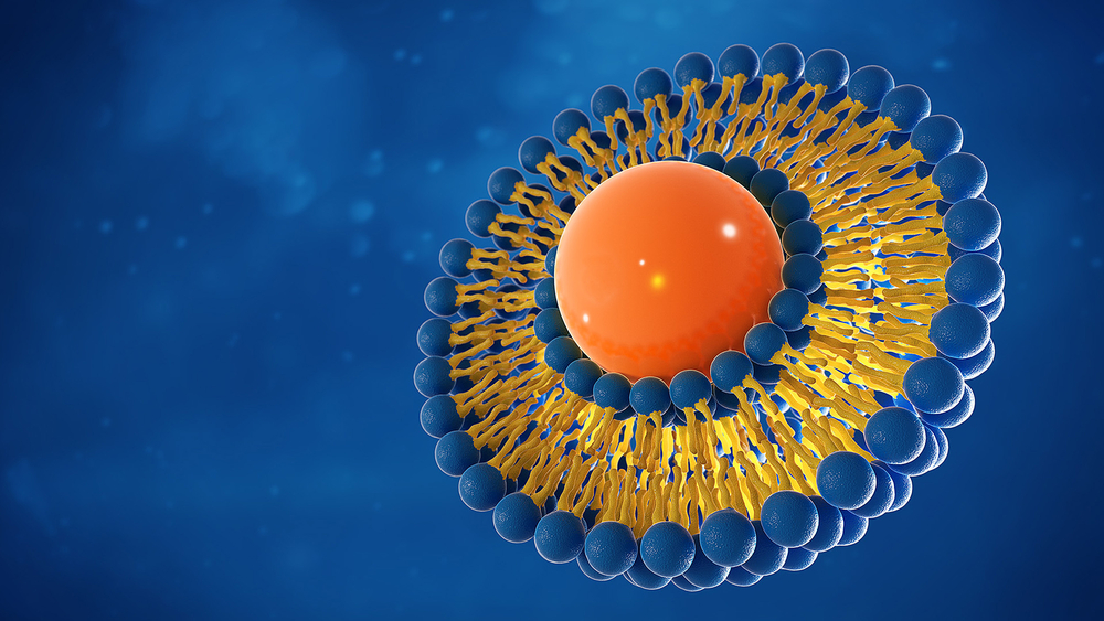 The study discovered the best way to design and build DNA ‘nanostructures’ to effectively manipulate synthetic liposomes (pictured) – tiny bubbles which have traditionally been used to deliver drugs for cancer and other diseases. Image: Shutterstock.