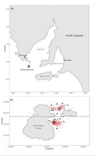 map of the kingfish tagging site 