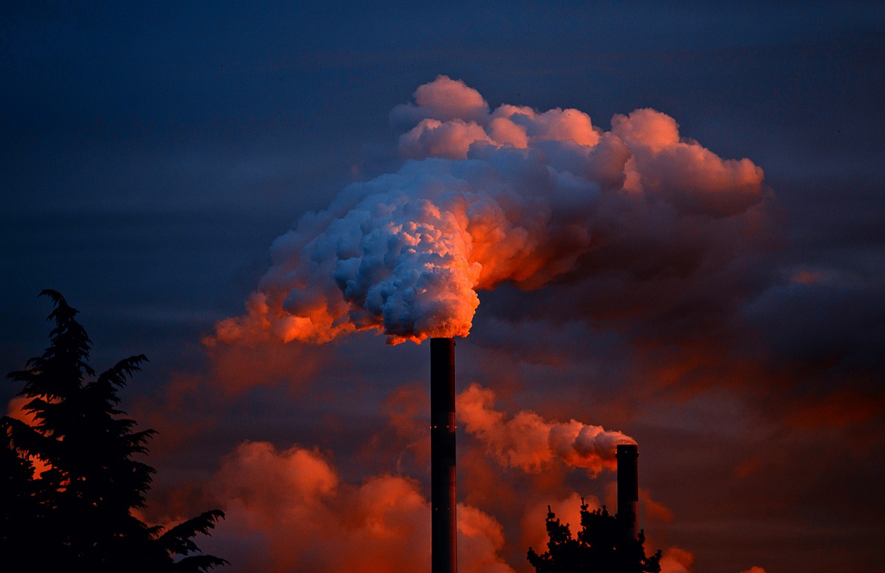 Image by Jürgen from Pixabay