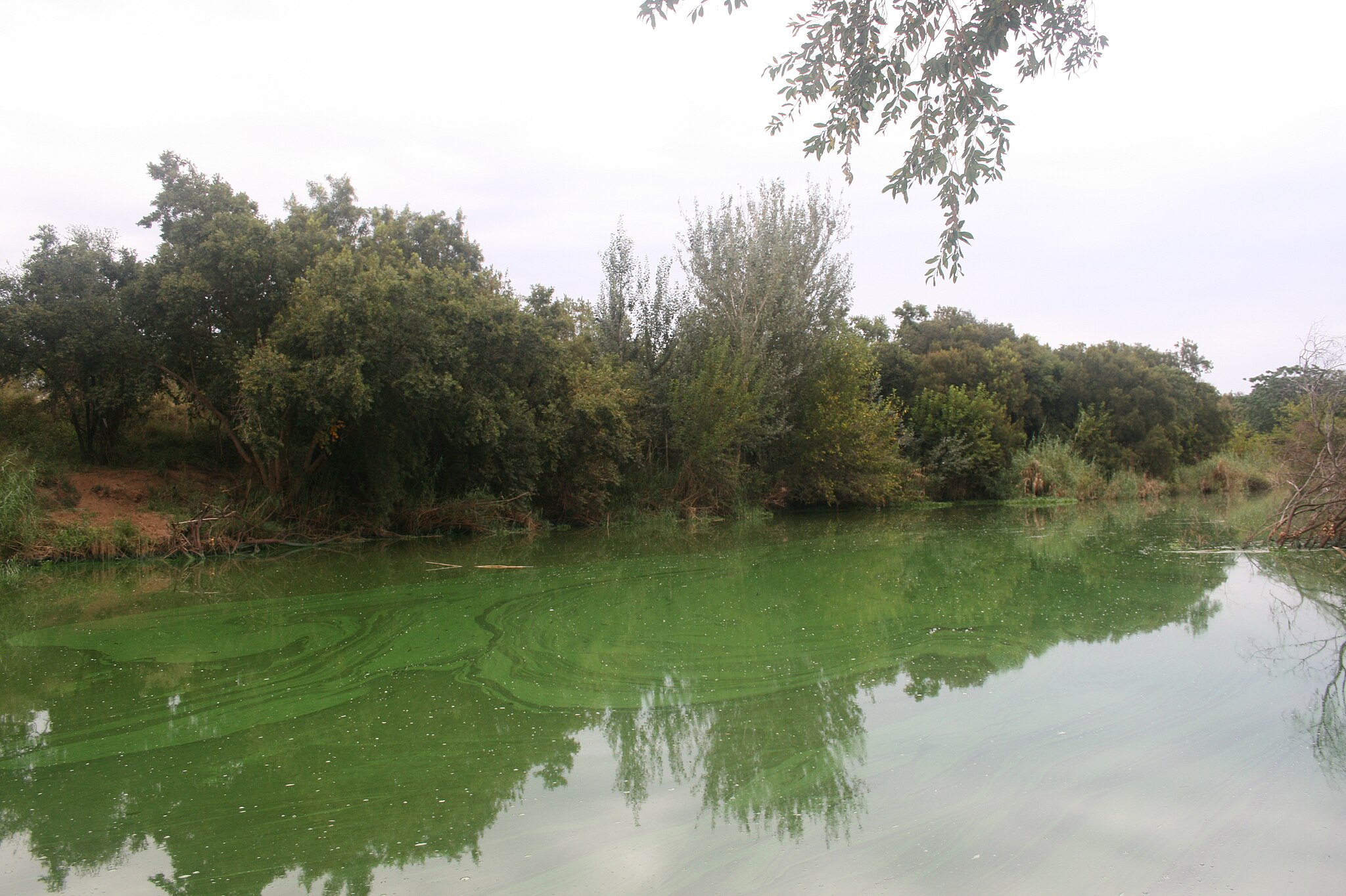 JMK, CC BY-SA 4.0 <https://creativecommons.org/licenses/by-sa/4.0>, via Wikimedia Commons