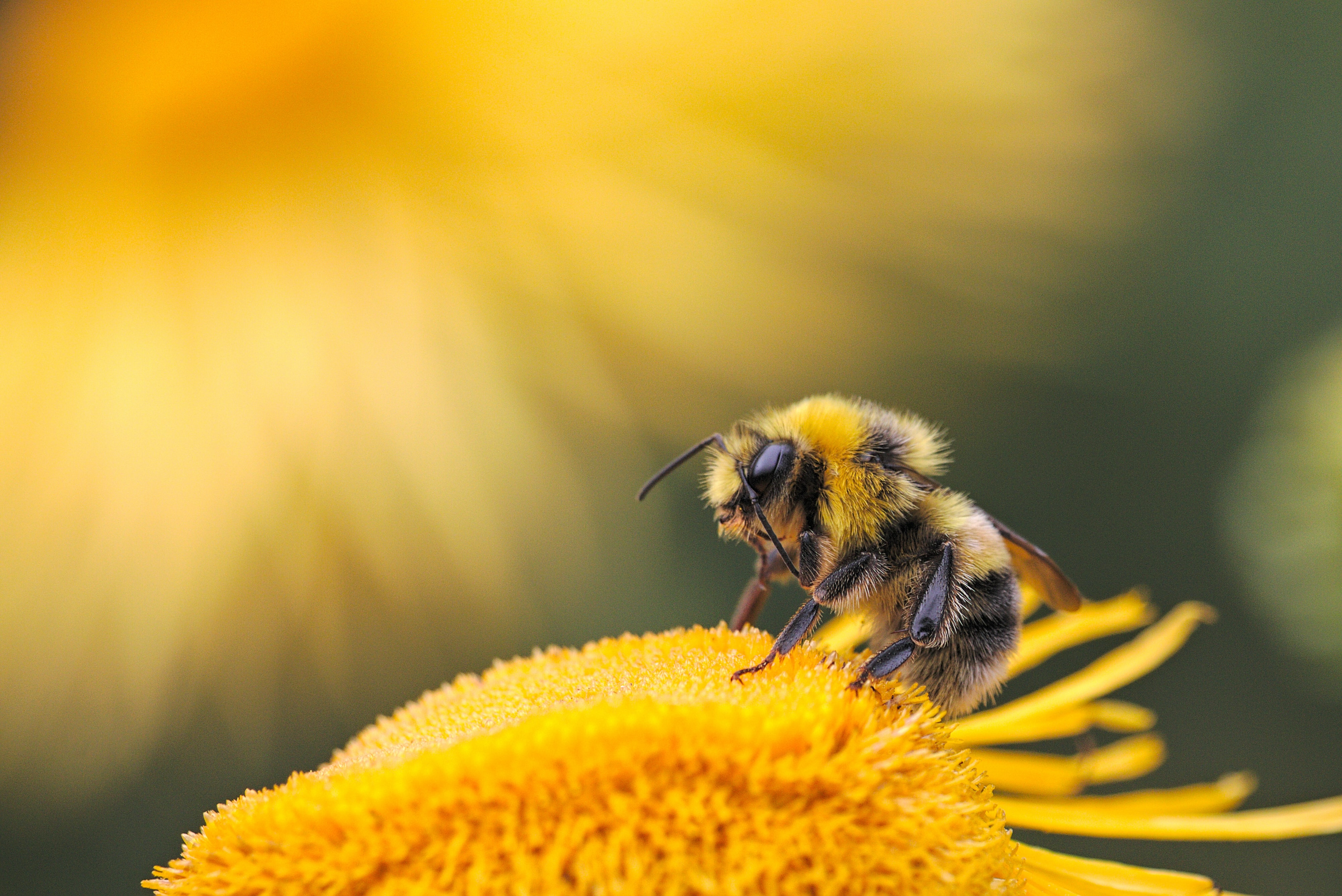 Credit: Dmitry Grigori/Unsplash