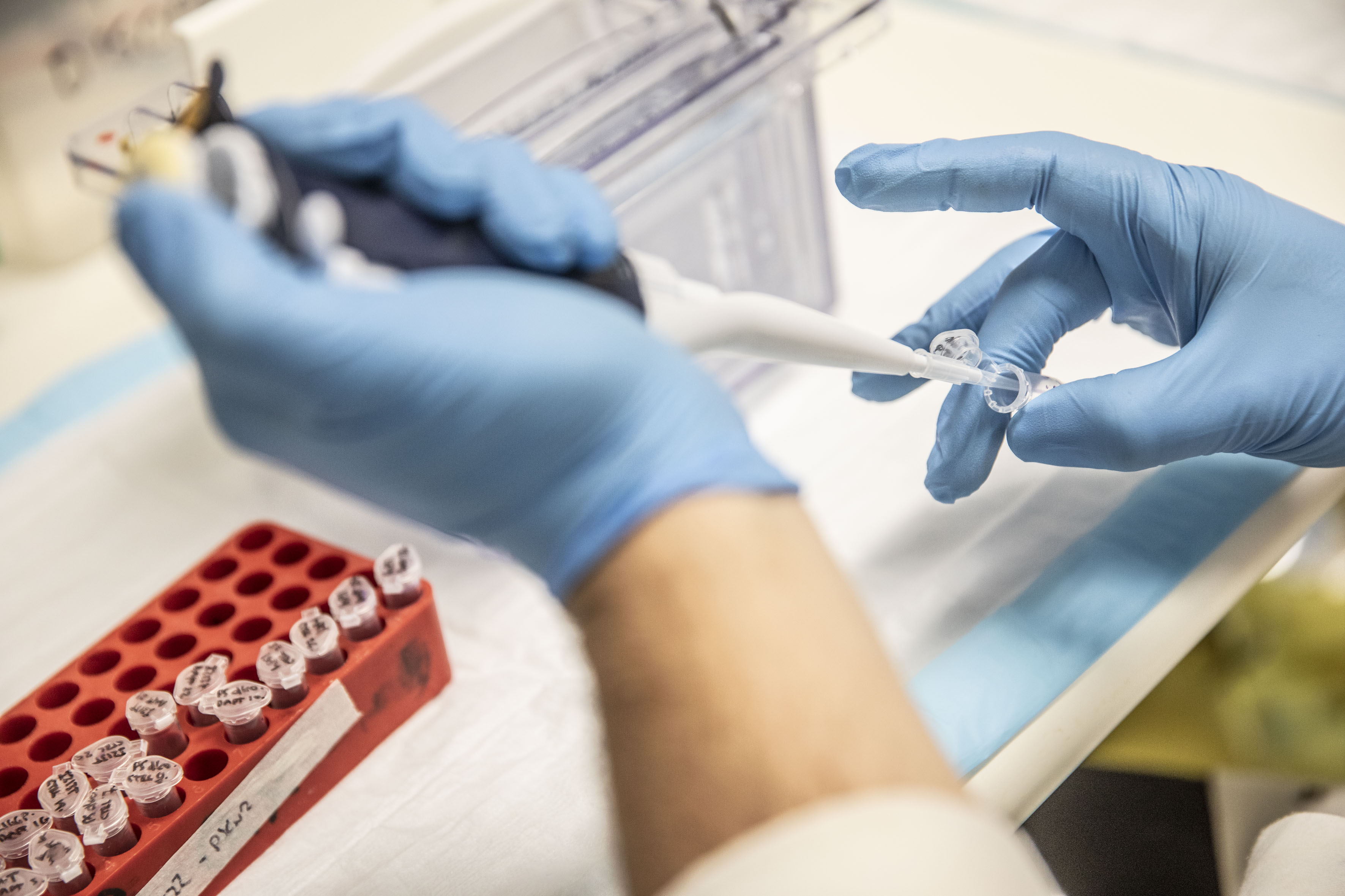 Supplied by The Florey