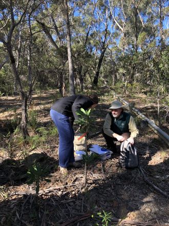 Researchers in the field