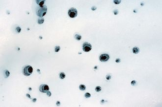 Holes formed by cryoconite on Alaska’s Matanuska Glacier in 2012