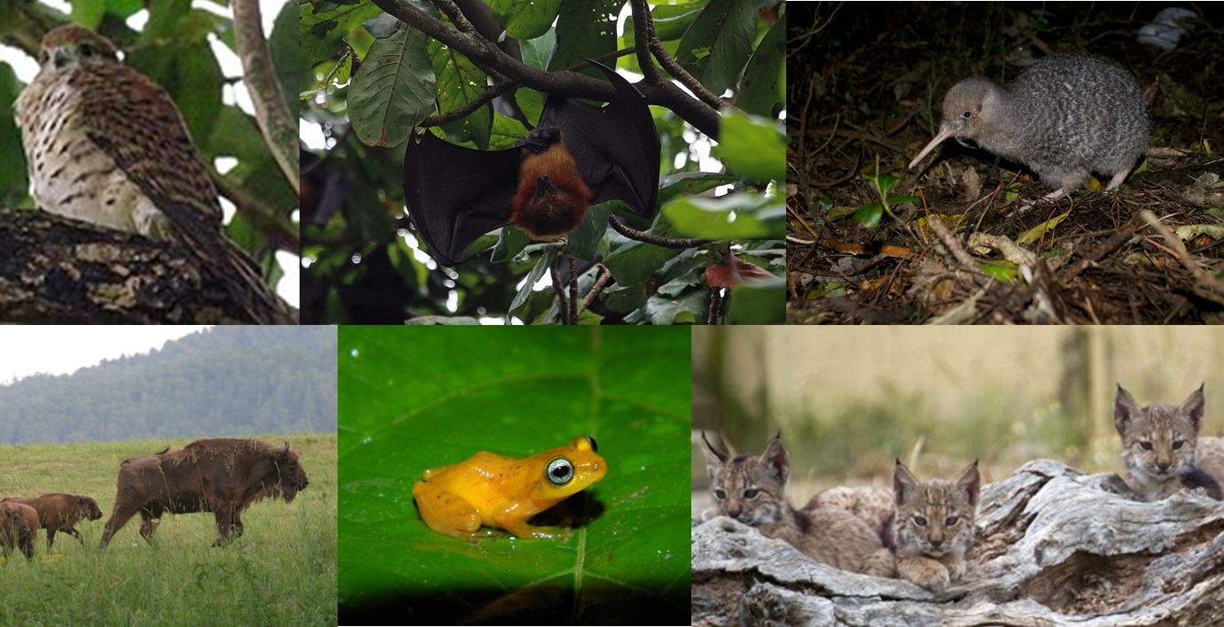 Compiled by Ashley Simkins (CC-BY 4.0, https://creativecommons.org/licenses/by/4.0/)