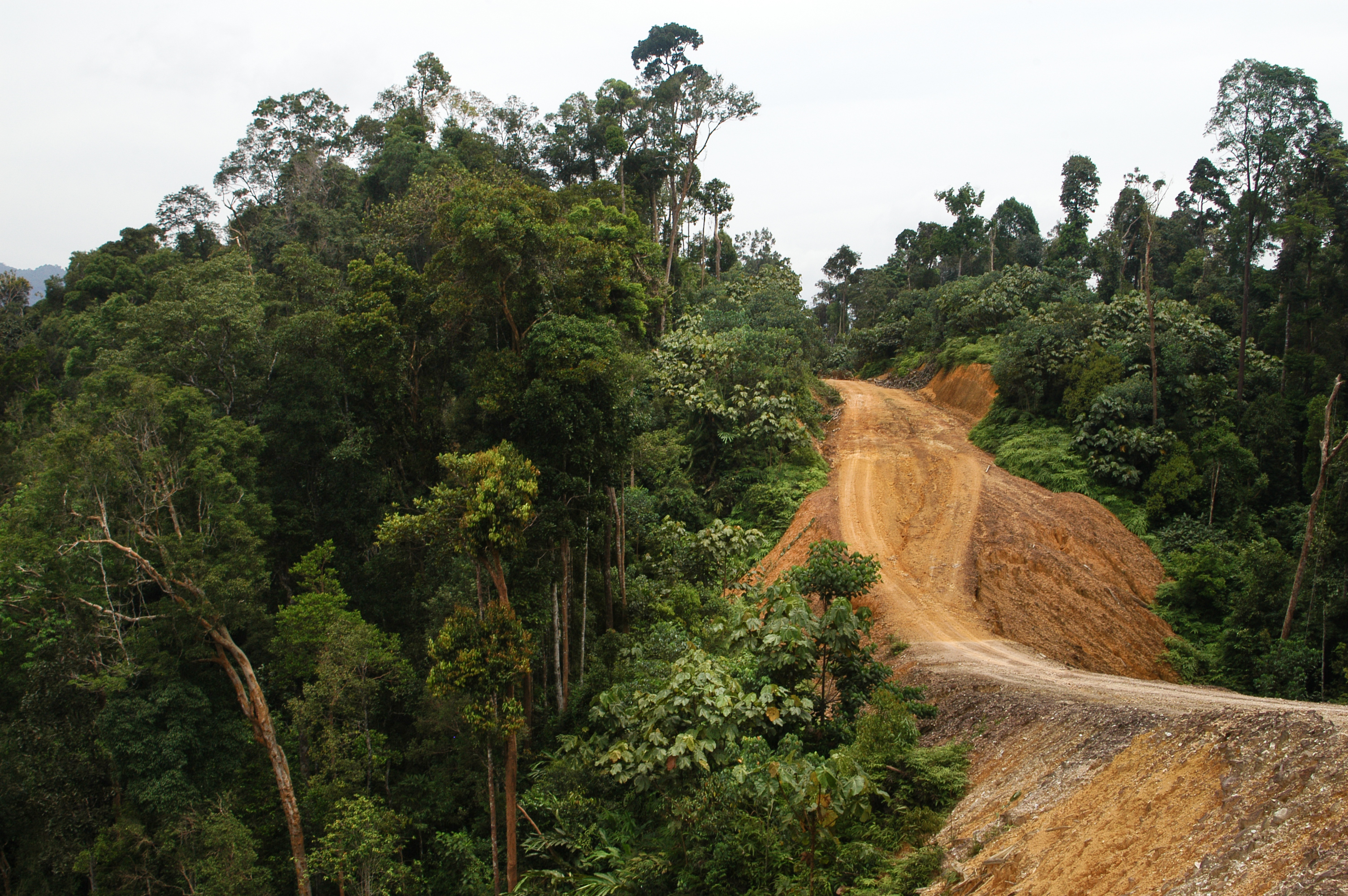 Credit: GRID-Arendal, via Flickr, https://www.flickr.com/photos/gridarendal/31943394912, https://creativecommons.org/licenses/by-nc-sa/2.0/