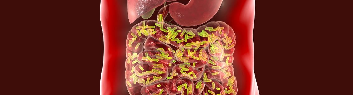 The composition and function of individuals’ gut microbiota may be crucial factors in affecting immune responses to vaccinations. Graphic Getty Images