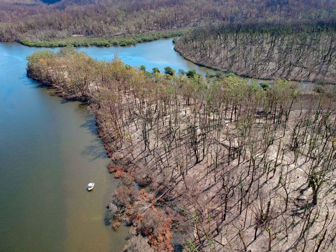 The burnt zone reaches all the way to the edge of the water at Clyde River/Batemans Bay [Credit: John Turnbull]