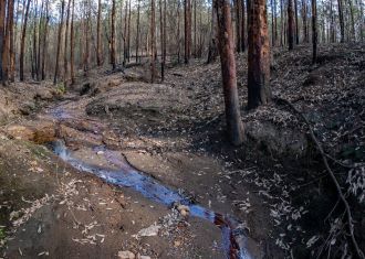 Post-fire rainfall and runoff 