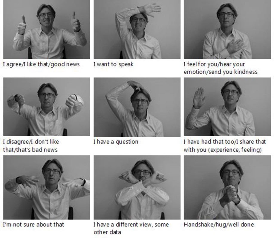 Video meeting signals taught during the training session of Experiment 1 (demonstrated by P.D.H).    Image Credit: Hills et al., 2022, PLOS ONE, CC-BY 4.0 (https://creativecommons.org/licenses/by/4.0/) 