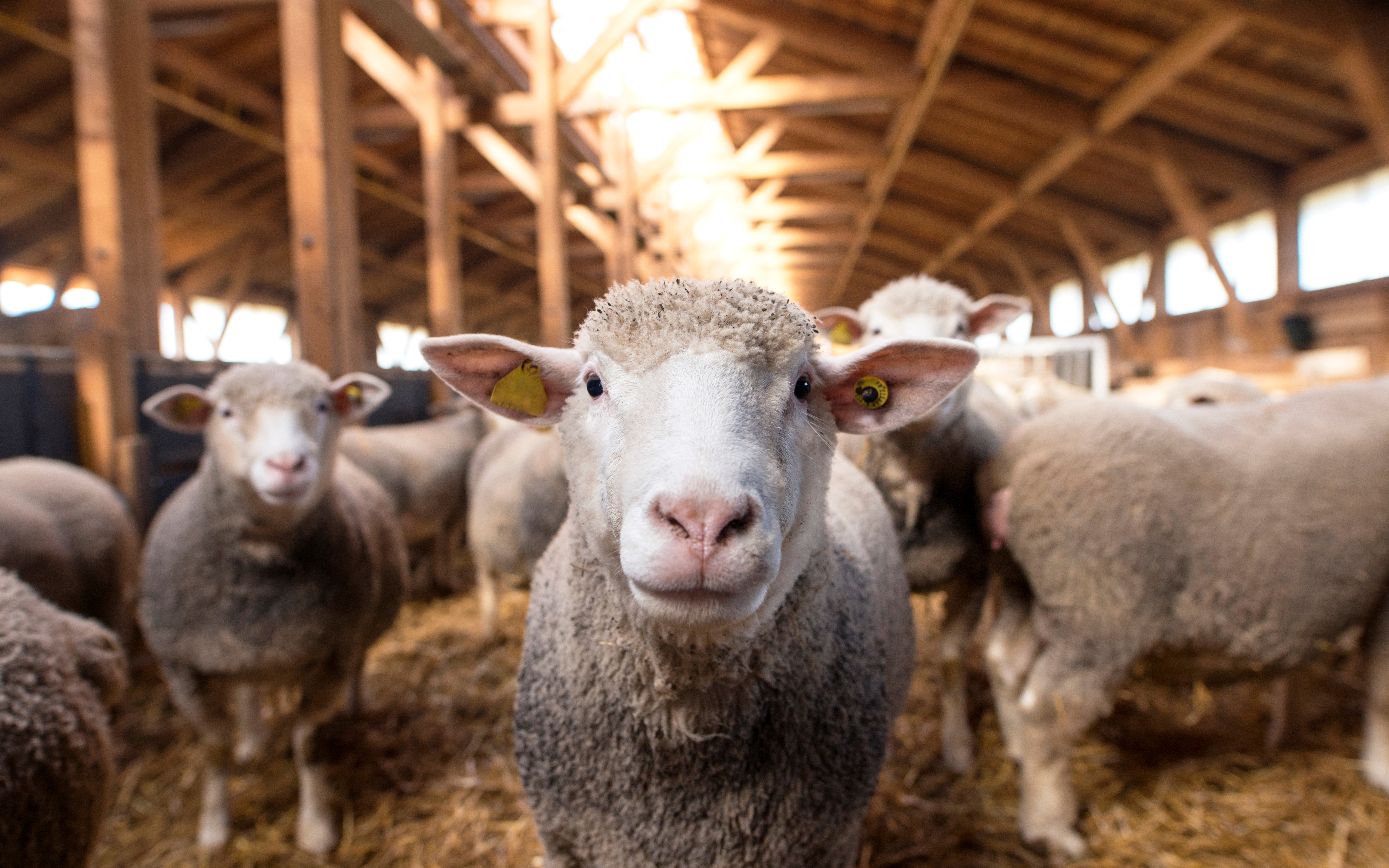 The University of Queensland