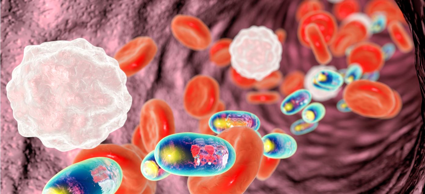 Illustration: Getty Images