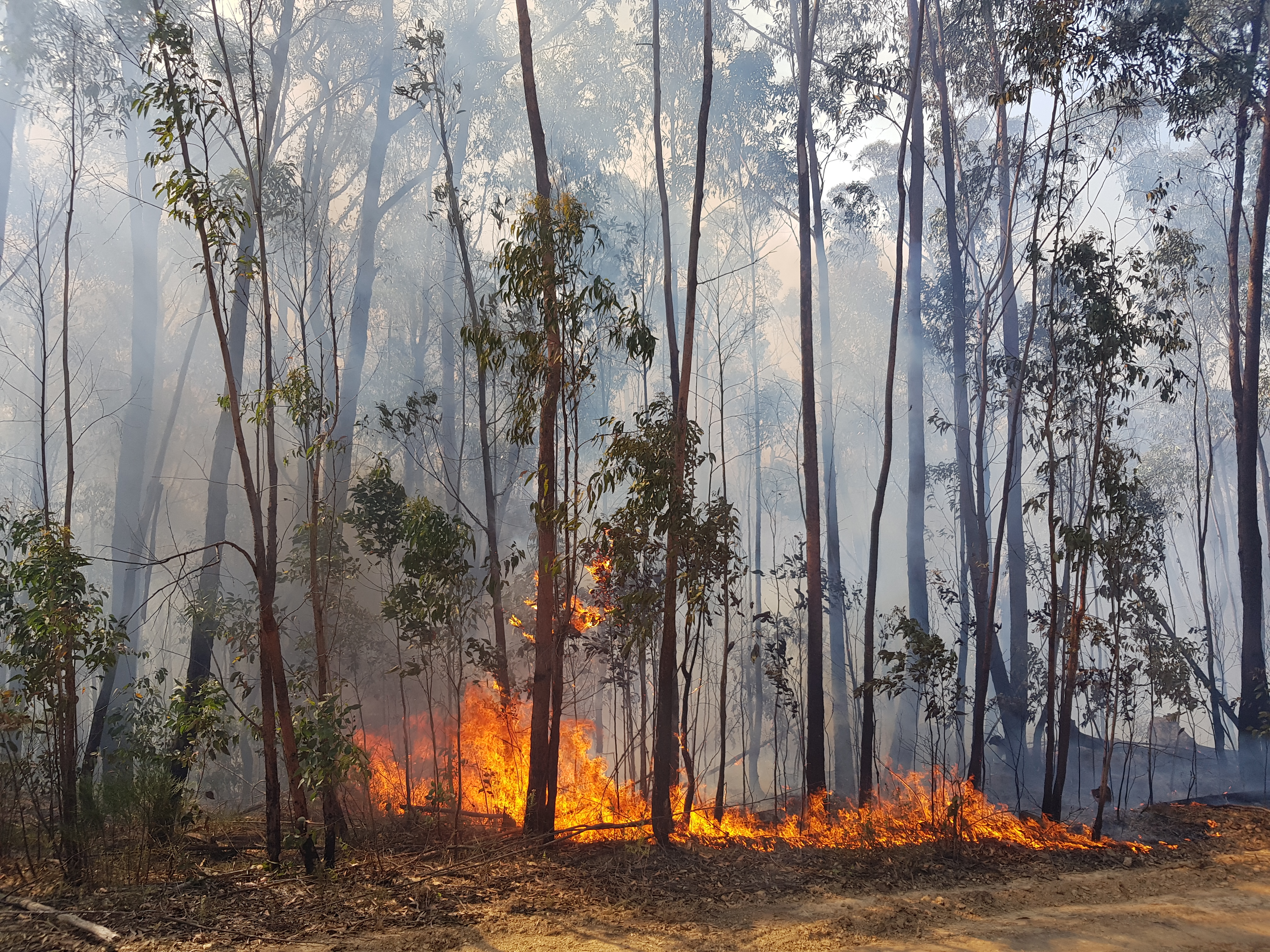 Photo by Philippa Perry