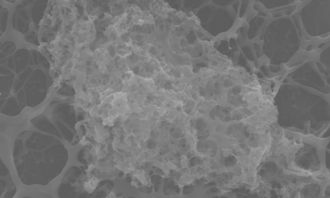 The antibacterial coating