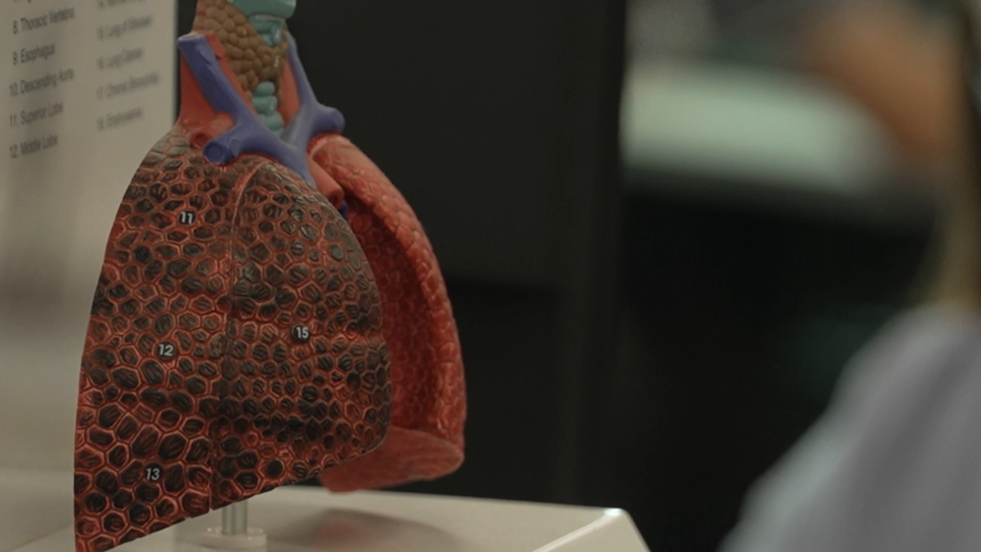 Wal-yan Respiratory Research Centre