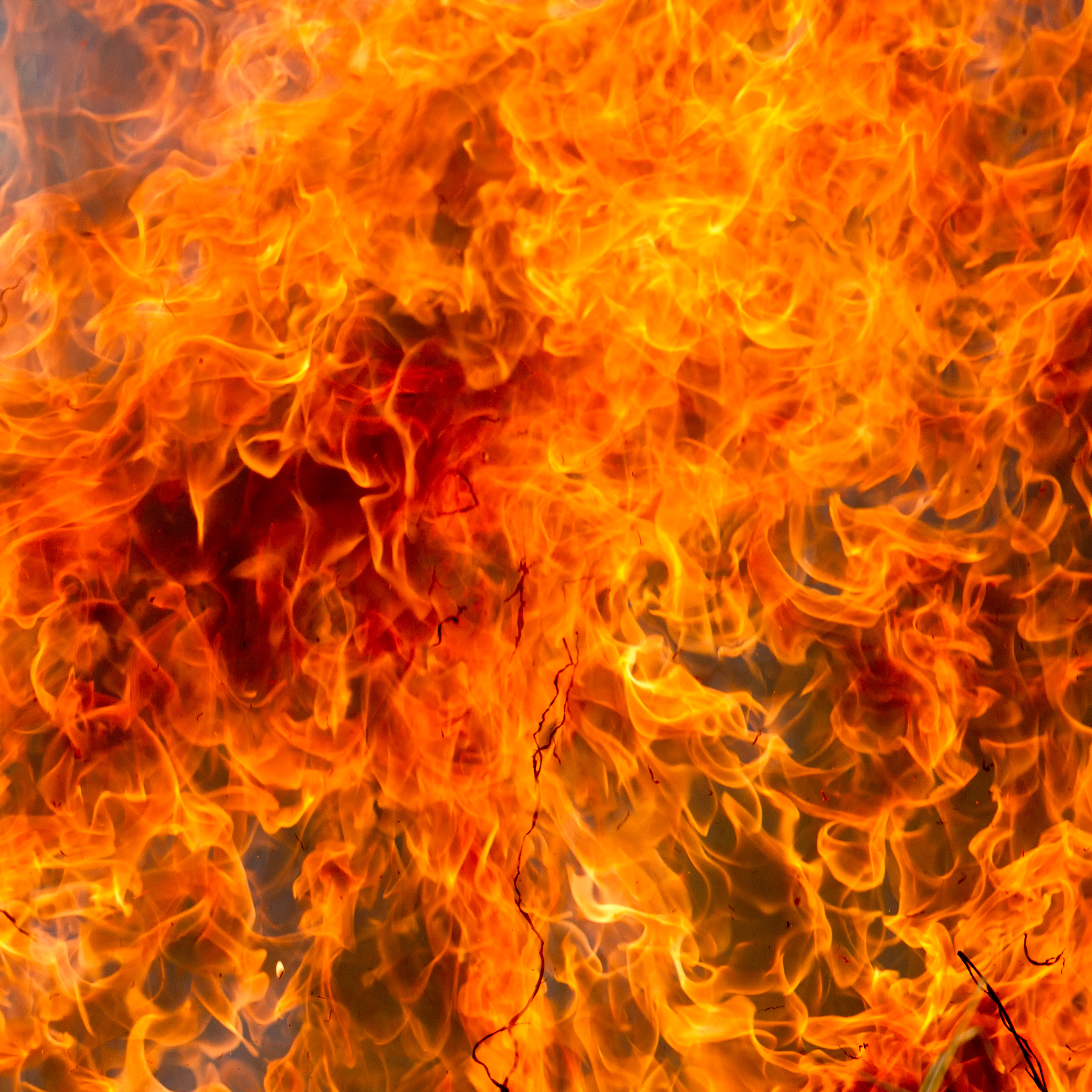 The incineration trials occurred at the National Synchrotron Radiation Laboratory in Hefei, China.