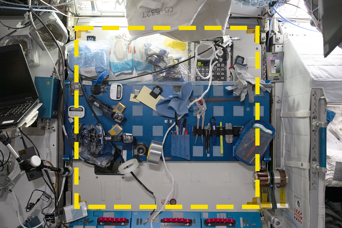 Walsh et al., 2024, PLOS ONE, CC-BY 4.0 