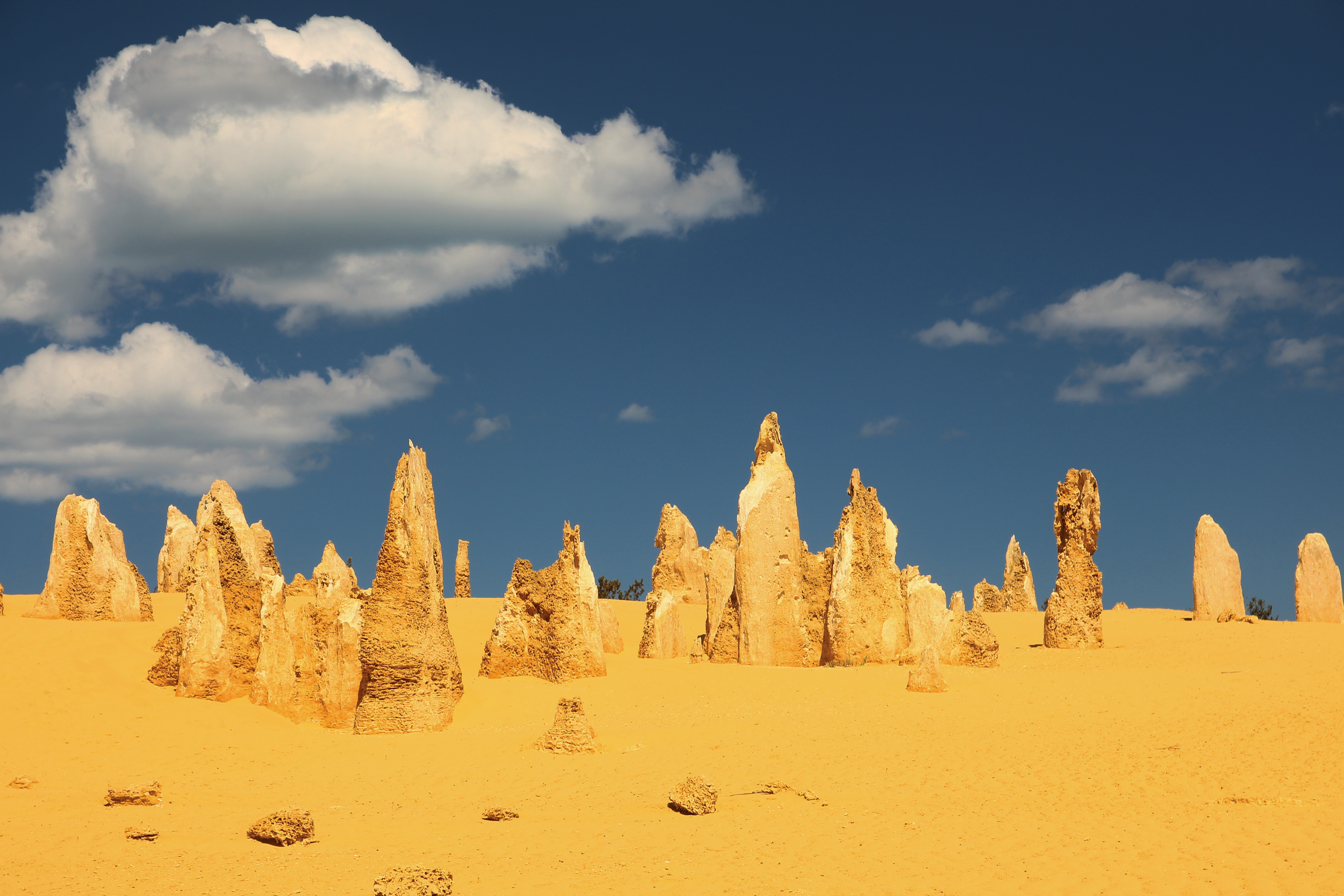 The pinnacles at Nambung National Park, where the research was done. Credit: Matej Lipar