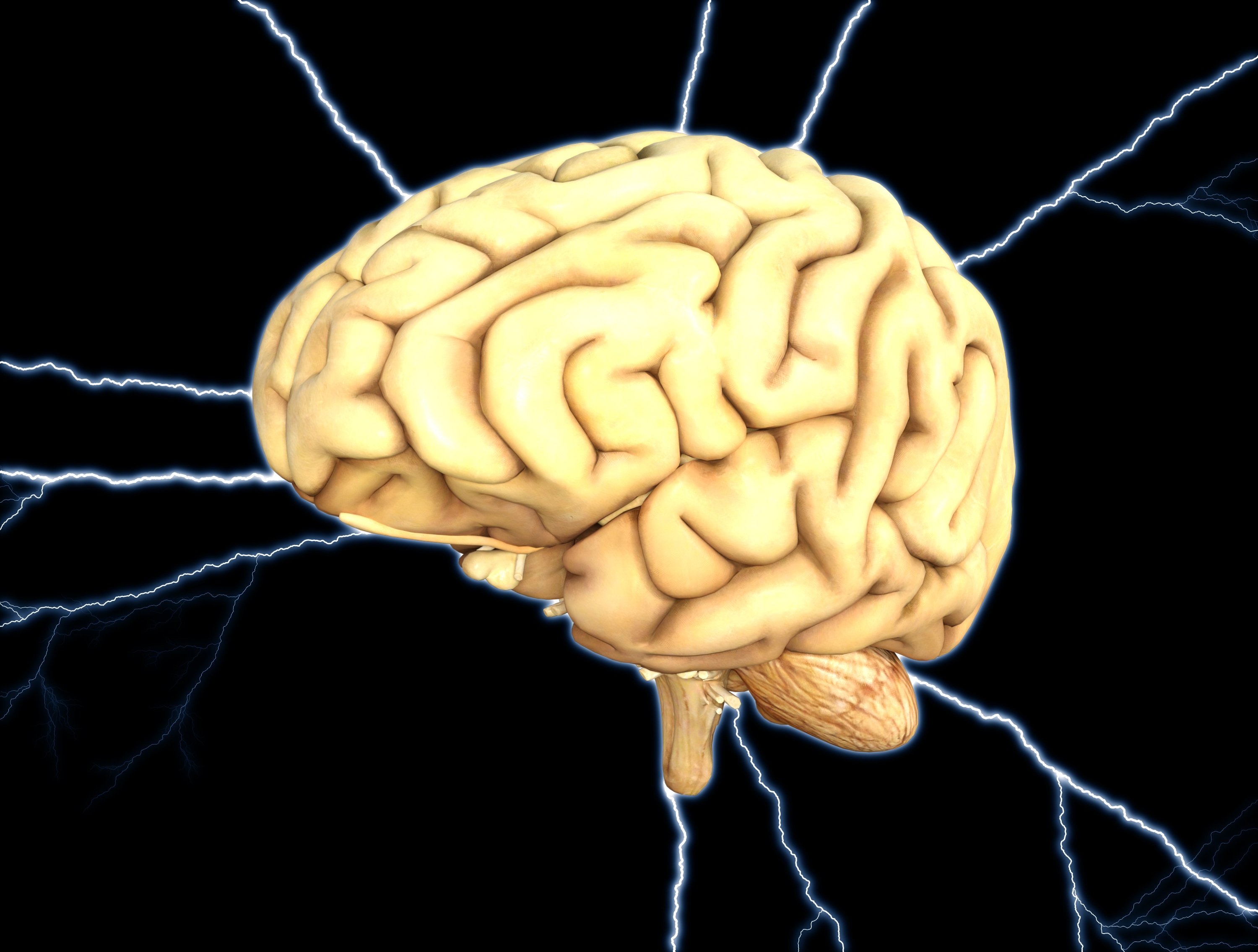 University of Adelaide has found a link between the way that cells produce energy for brain function and the mutated genes found in Alzheimer’s disease. Image from Pixabay by Pete  Linforth.