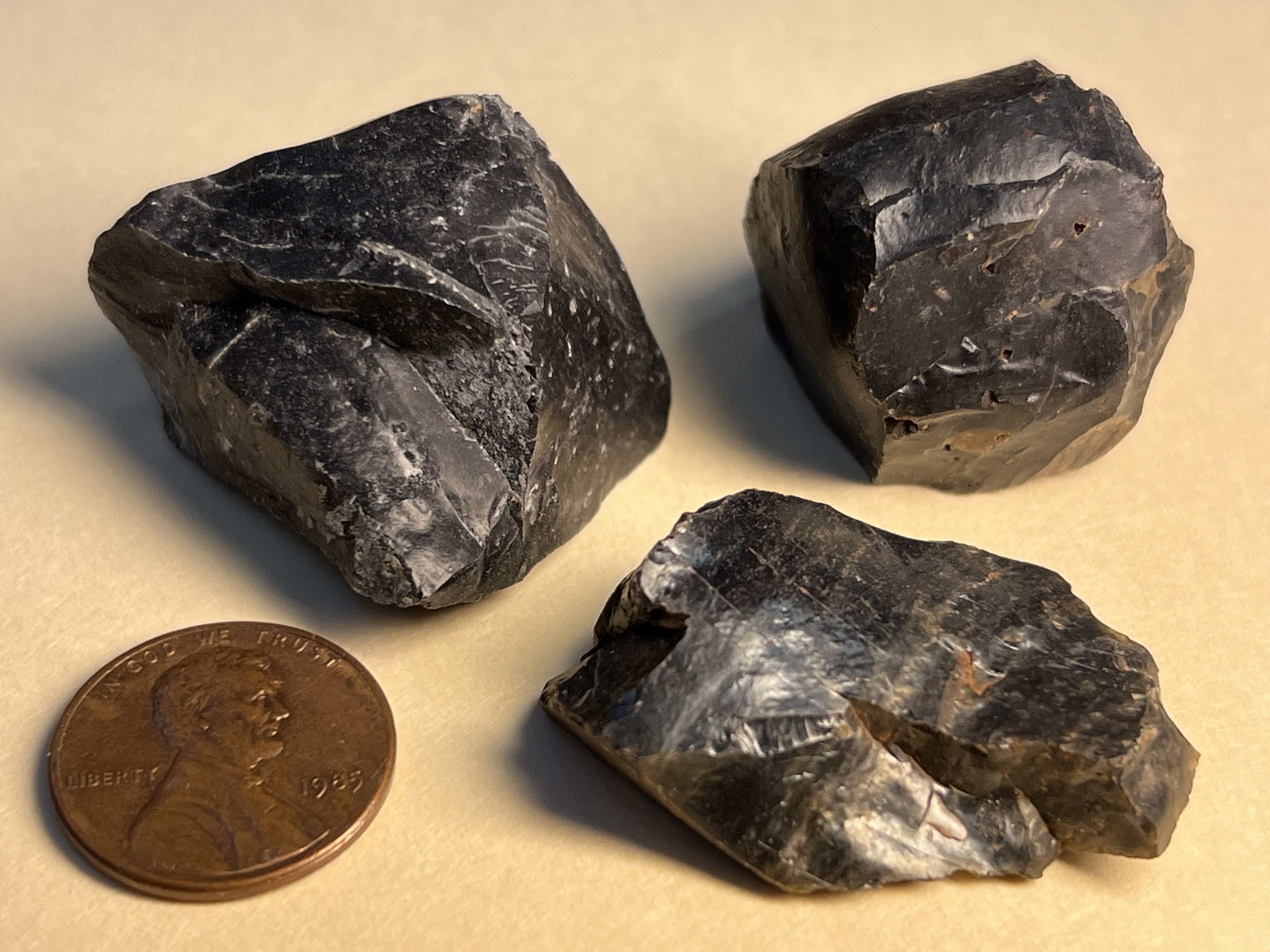 A carbon-rich black chert from Western Australia. Credit: Hazen Collection, National Museum of Natural History, Washington DC