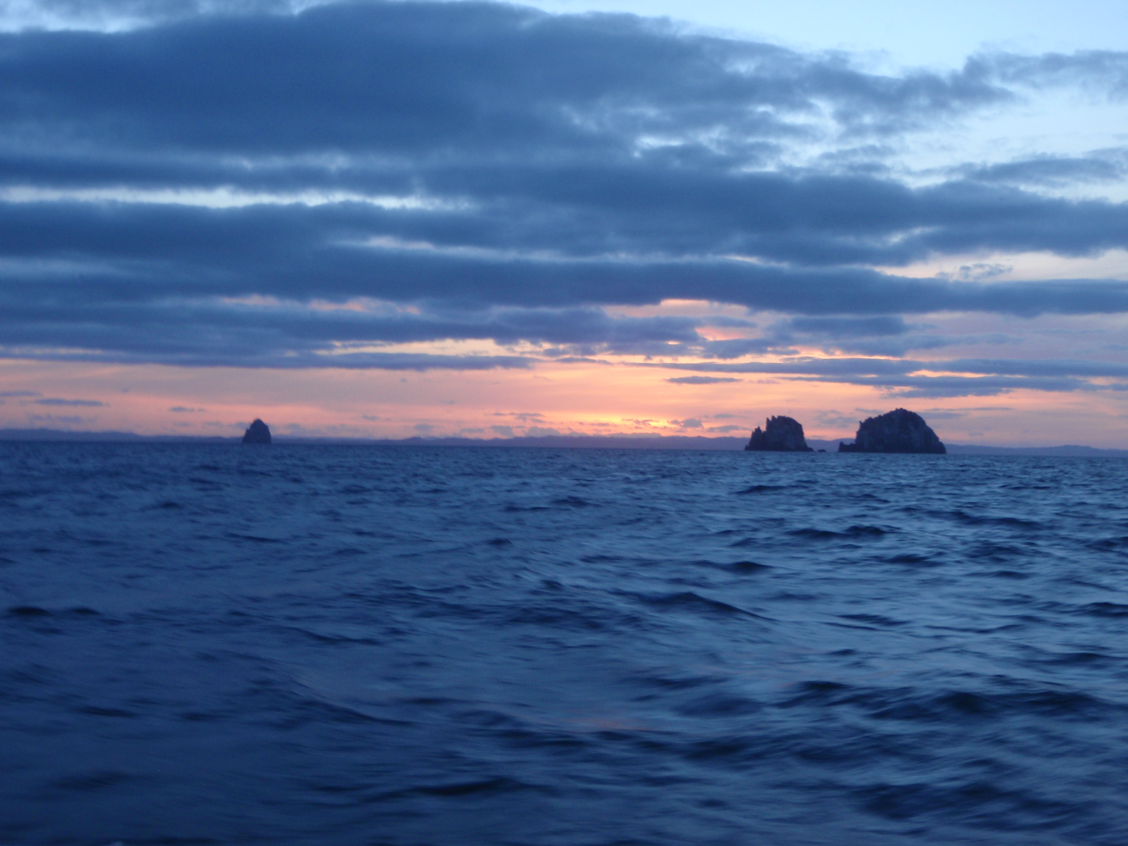 View of the Pinnacles and Sugarloaf stacks from south of the Poor Knights Islands, New Zealand. Credit: Peter Southwood/CC BY-SA 3.0