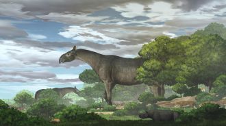 Giant Rhino