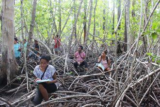 Mangrove conservation