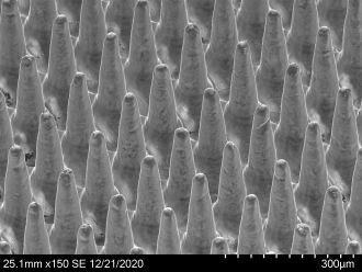 High-density microarray patch