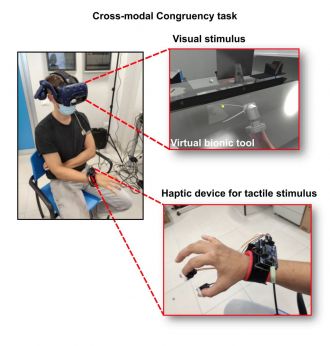 Experimental set up for bionic tool 