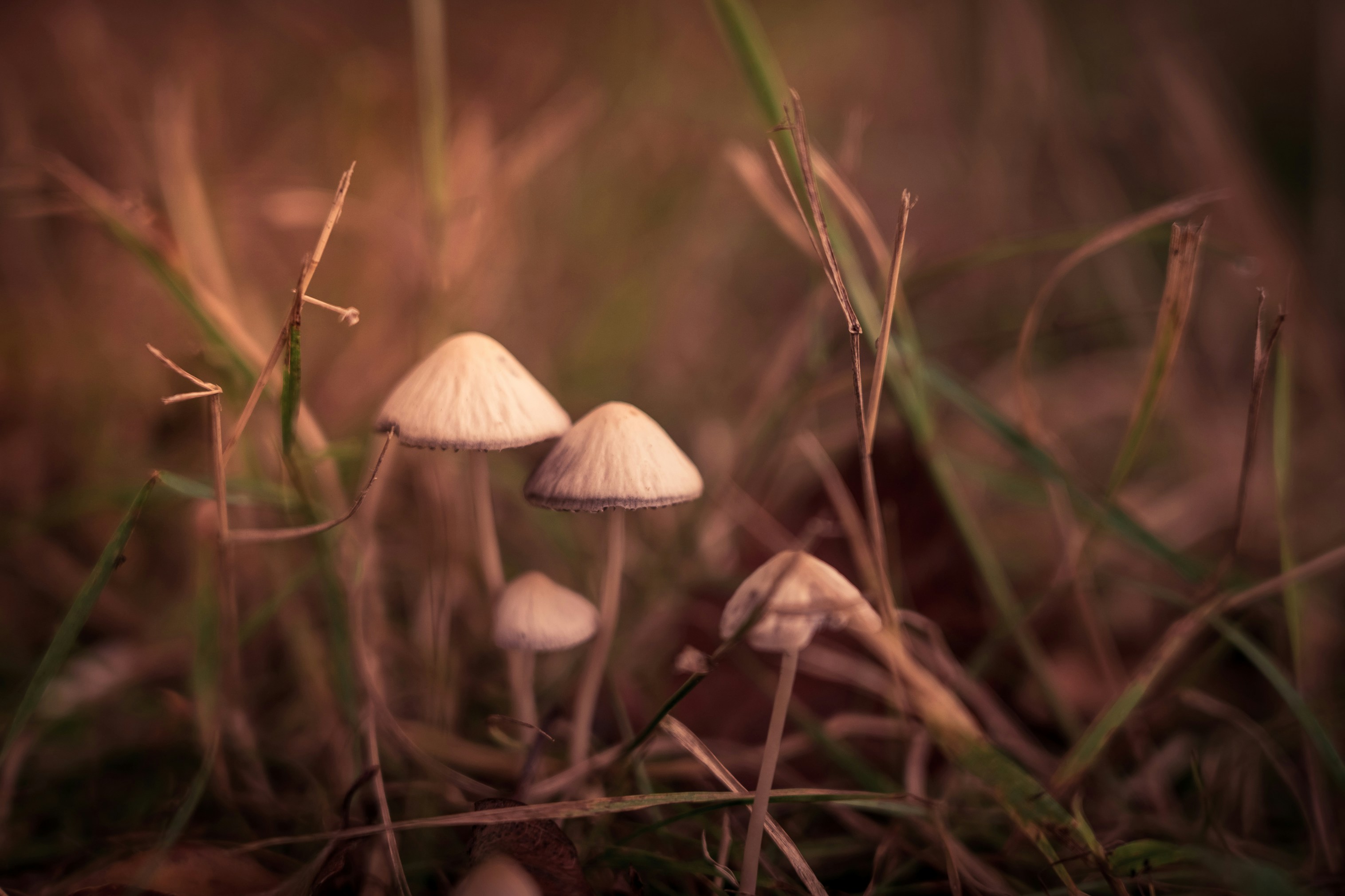 Photo by Nick Fewings on Unsplash