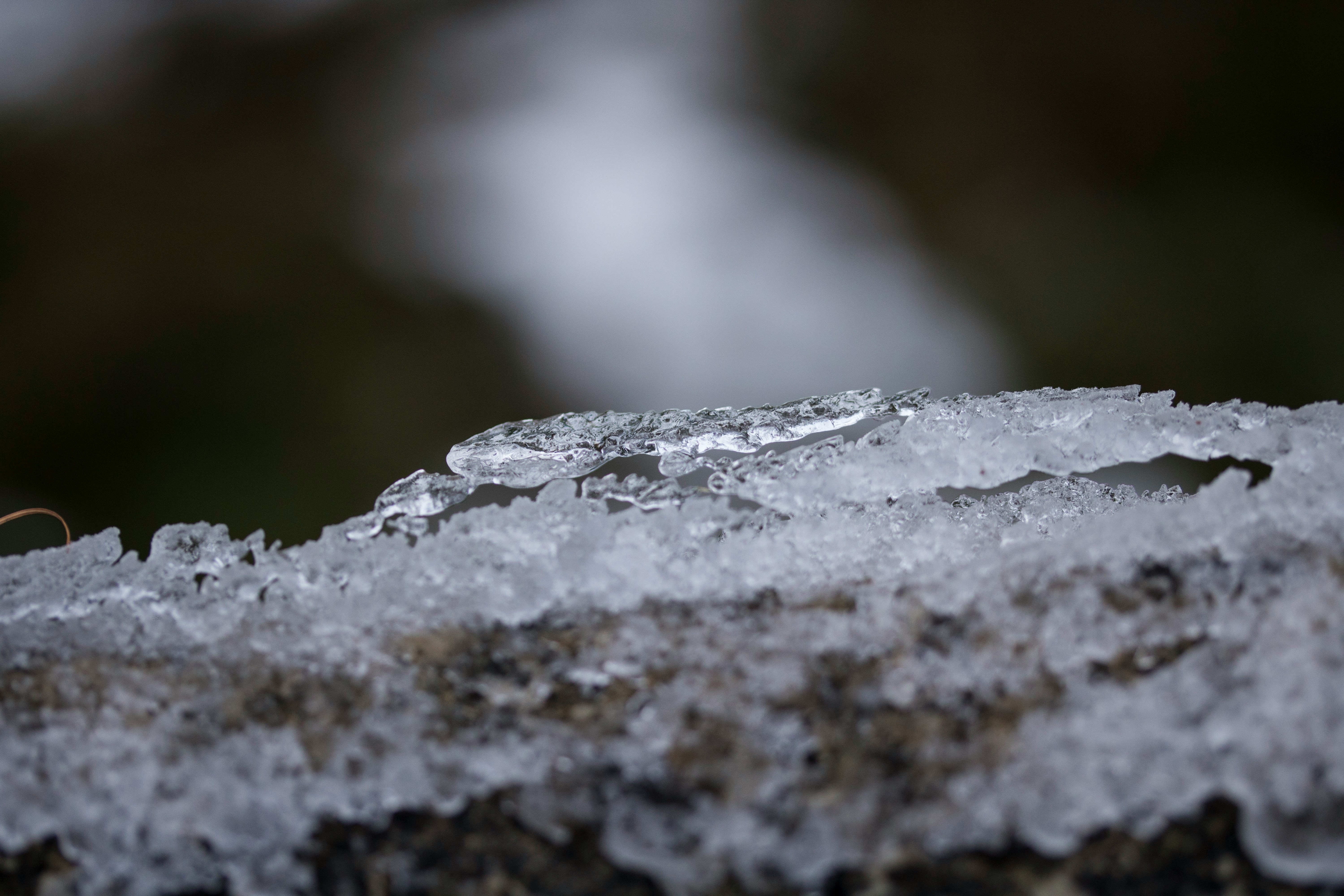 Photo by Paddy O Sullivan on Unsplash