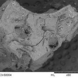 Ancient food scraps embedded in rock