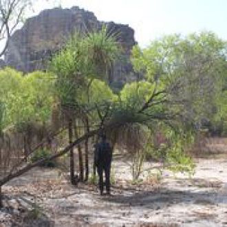 On site in Kakadu